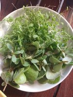 IMG_20230613_082740.jpg