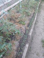 IMG_20230613_081403.jpg