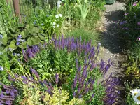 IMG_7825.JPG