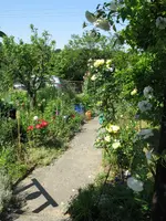 IMG_7830.JPG