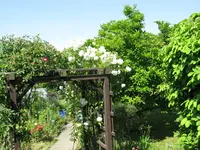 IMG_7831.JPG
