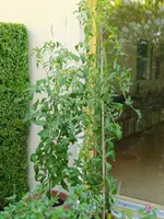 IMG_20230614_092849.webp