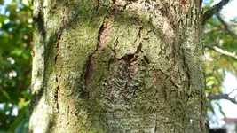 P1400411.webp