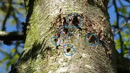 P1400415.webp