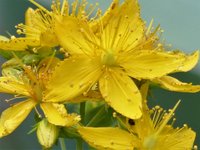 image003.jpg