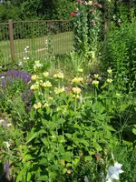 IMG_7826.webp