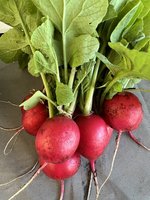 IMG_2812.jpeg