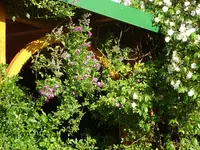 DSC03000.webp