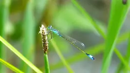 P1400430.JPG