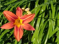 IMG_20230615_094613.webp
