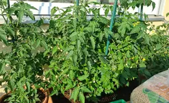 20230616_084334.webp