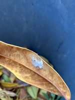 IMG_6141 Medium.jpeg