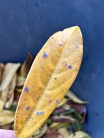 IMG_6144 Medium.jpeg