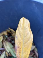IMG_6150 Medium.jpeg
