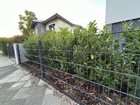 IMG_6154 Medium.jpeg