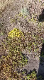 20230615_085547.webp