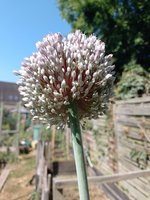 IMG_20230616_100519.jpg