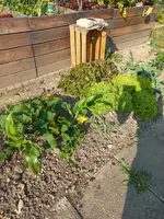 20230617_084528.webp