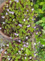 IMG_20230617_155429.webp