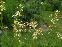 IMG_20230617_155417.webp