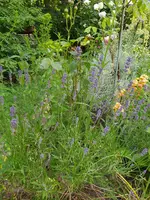IMG_20230617_155323.webp