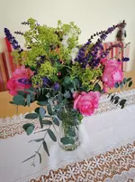 IMG_20230617_123813 (1).webp