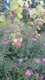 20230617_205933.webp