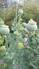 20230617_205741.webp