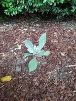 IMG_20230618_114226.webp