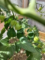 20230618_131037.jpg