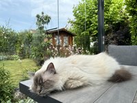 IMG_9191.jpeg