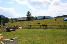 Winklmoosalm 1323.JPG