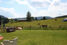 Winklmoosalm 1323.webp