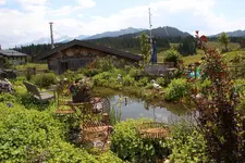 Winklmoosalm 1423.webp