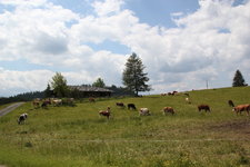 Winklmoosalm 1723.JPG