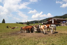 Winklmoosalm 1823.JPG
