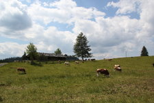 Winklmoosalm 1923.JPG