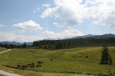 Winklmoosalm 2023.JPG