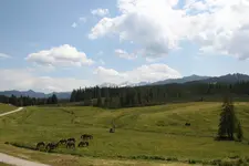 Winklmoosalm 2023.webp
