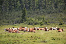 Winklmoosalm 2523.JPG