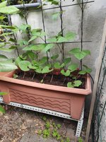 IMG_20230619_095401.jpg