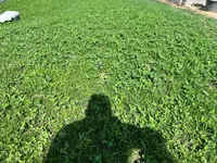 D7B55443-39D5-4622-9CEB-62F130BF6C13.webp