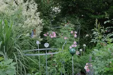 Juni     4023.webp