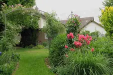 Juni     4423.webp