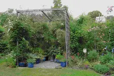 Juni     5123.webp