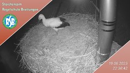 IMG_1172.jpeg