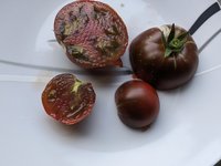 PXL_20230620_061326771.jpg
