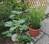 IMG_20230616_100531.webp
