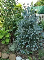 IMG_20230616_100701.webp