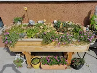 IMG_20230620_095841.webp
